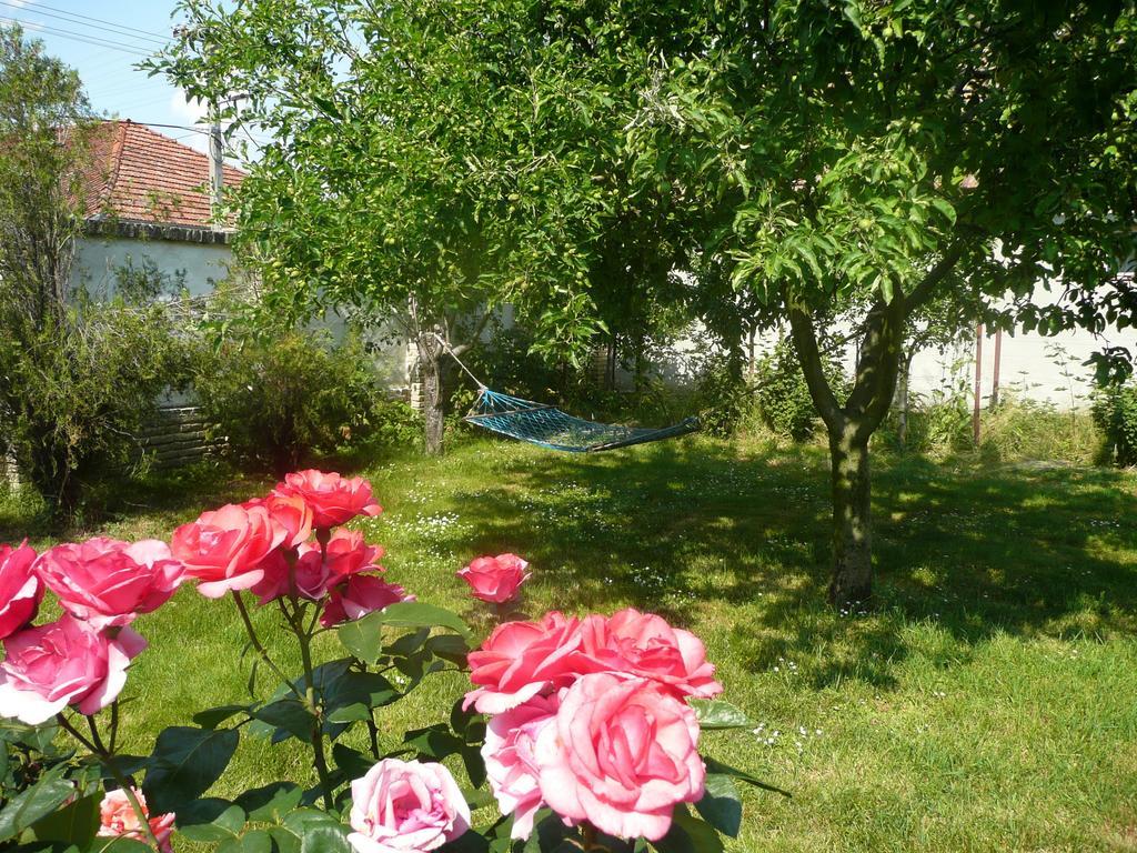 Senta Guest House Tisza Haz מראה חיצוני תמונה