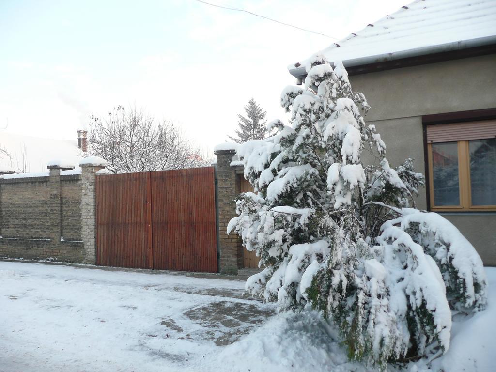 Senta Guest House Tisza Haz מראה חיצוני תמונה